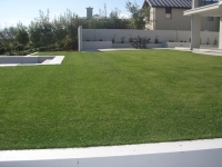 Hydroseeded lawn at Clearwater