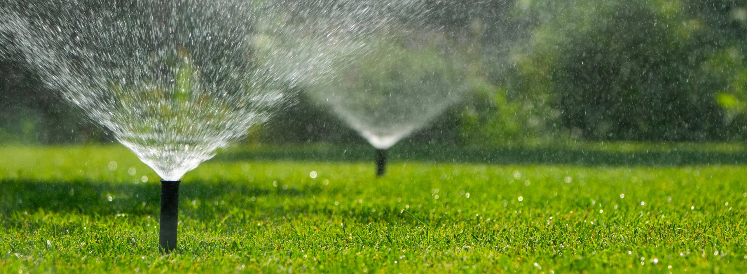 two people and a fox sitting looking happy