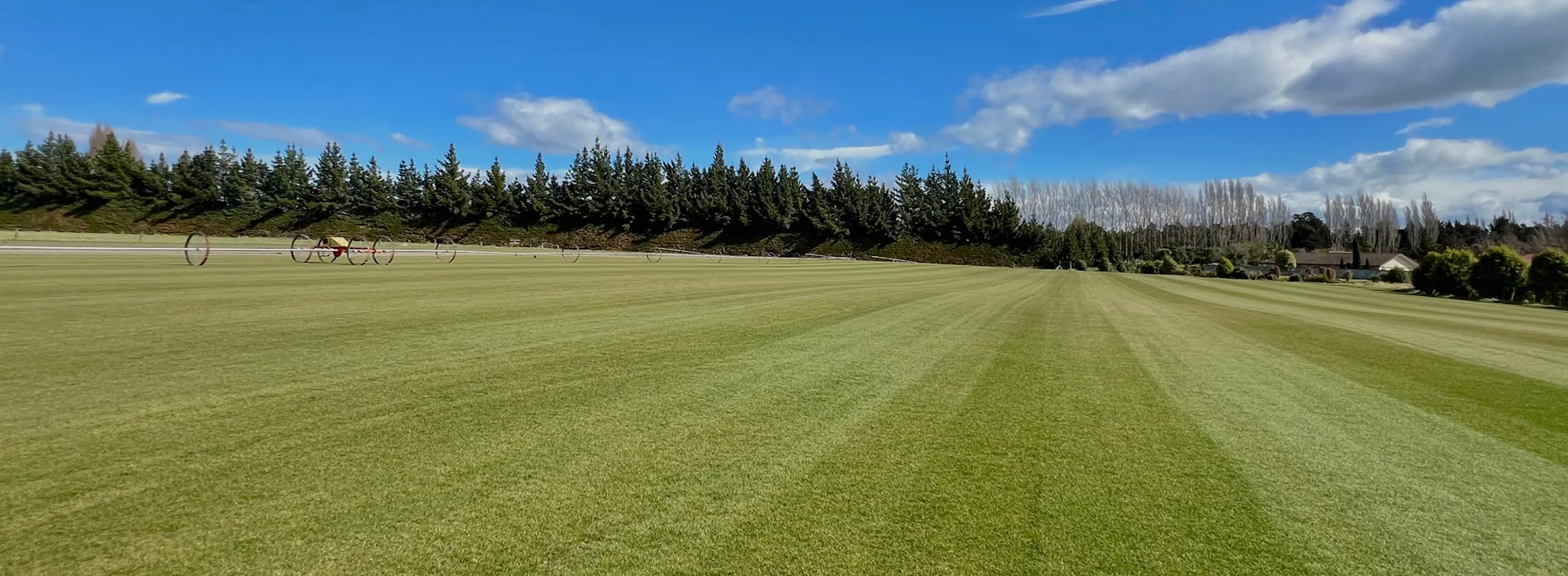two people and a fox sitting looking happy