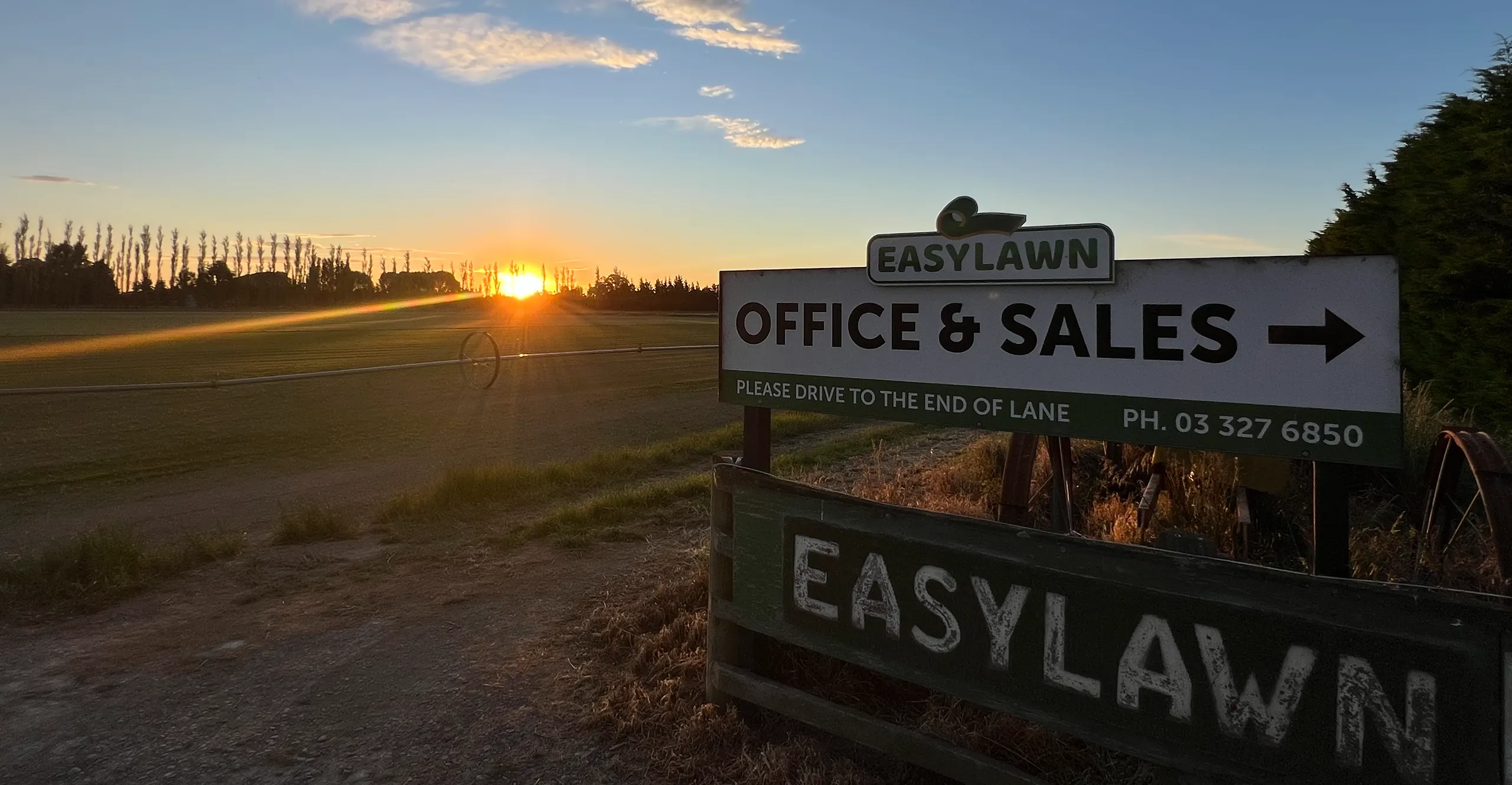two people and a fox sitting looking happy