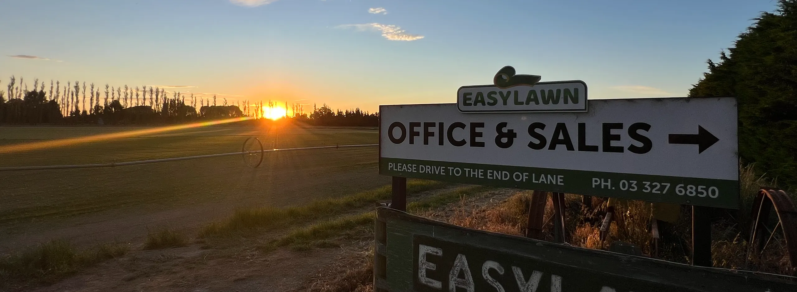 two people and a fox sitting looking happy