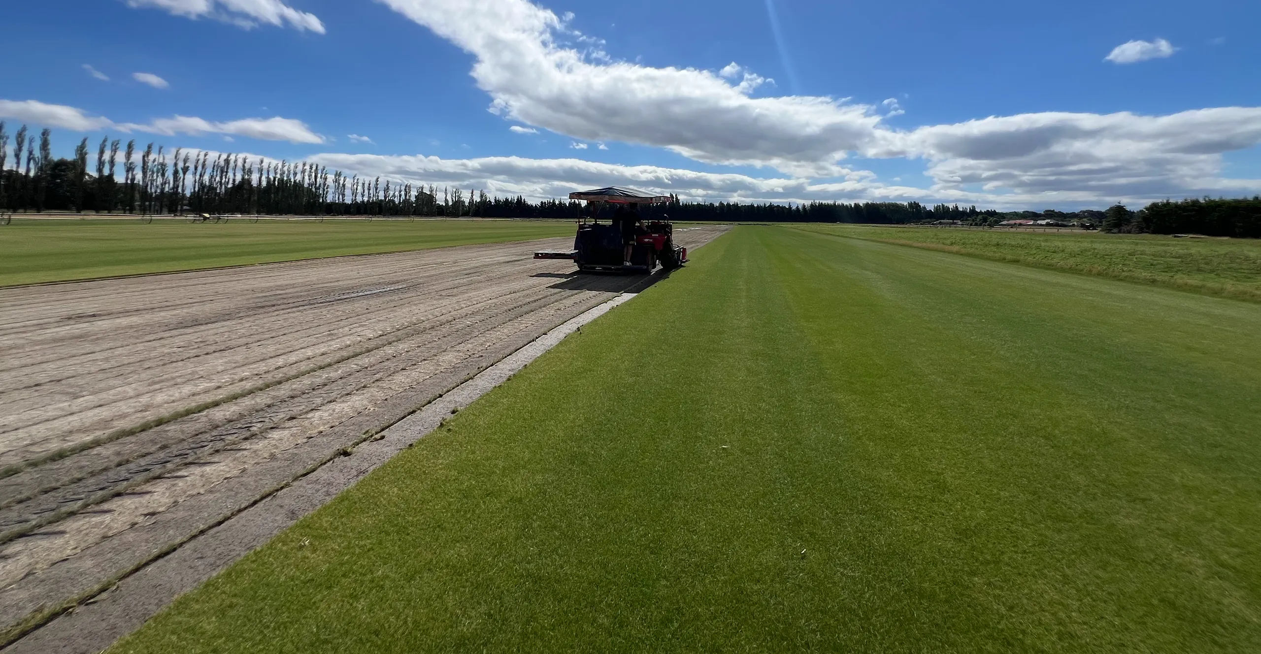 two people and a fox sitting looking happy