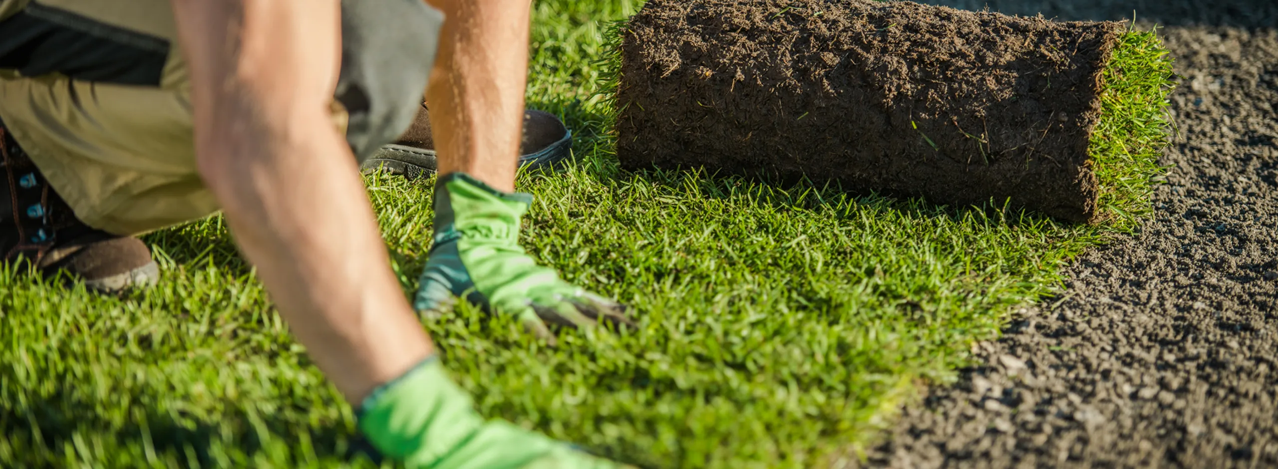 two people and a fox sitting looking happy